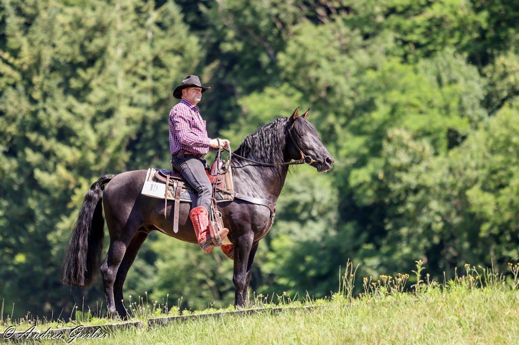 Swiss Ranch Horse Association - SRHA