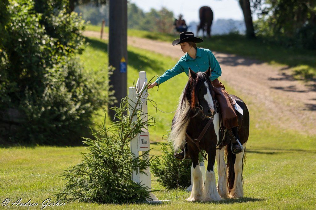 Swiss Ranch Horse Association - SRHA