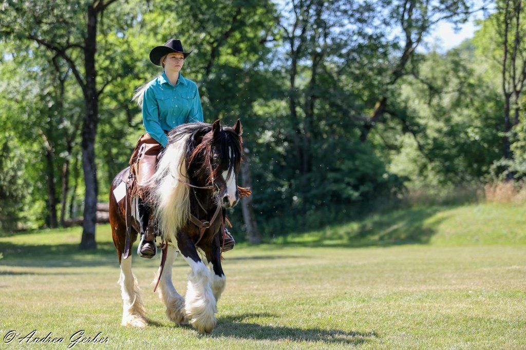 Swiss Ranch Horse Association - SRHA