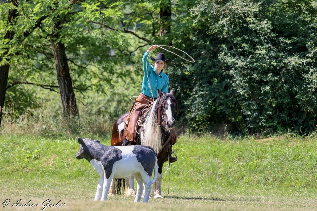 Swiss Ranch Horse Association - SRHA