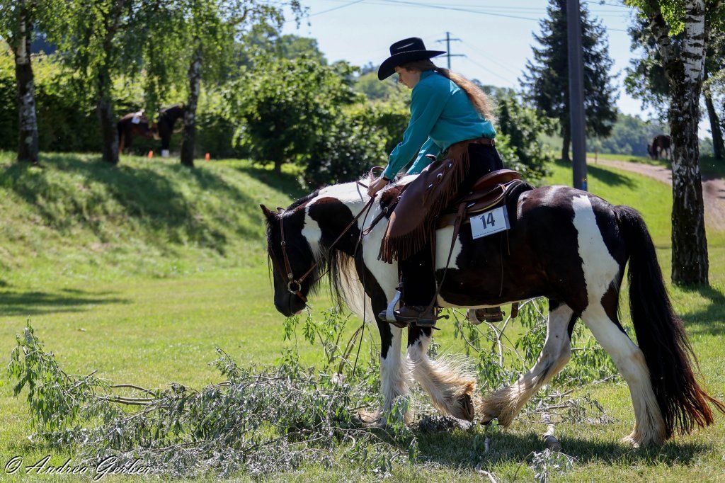 Swiss Ranch Horse Association - SRHA