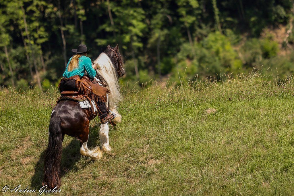 Swiss Ranch Horse Association - SRHA
