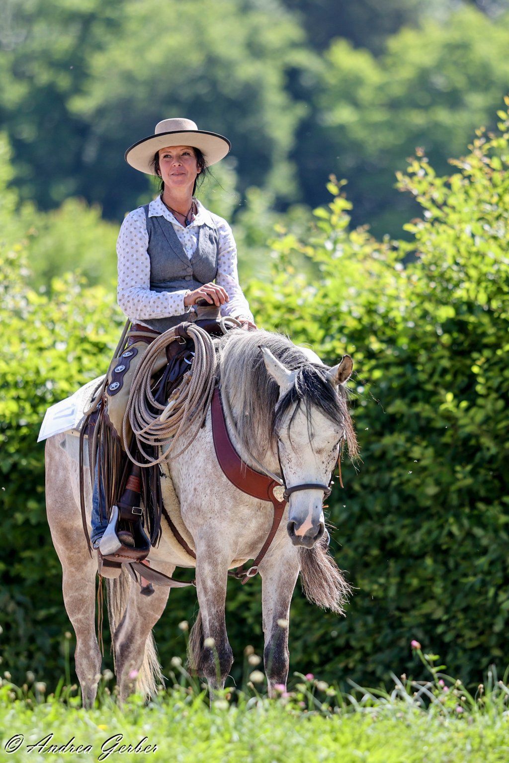 Swiss Ranch Horse Association - SRHA