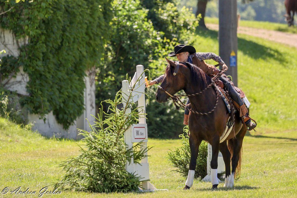 Swiss Ranch Horse Association - SRHA