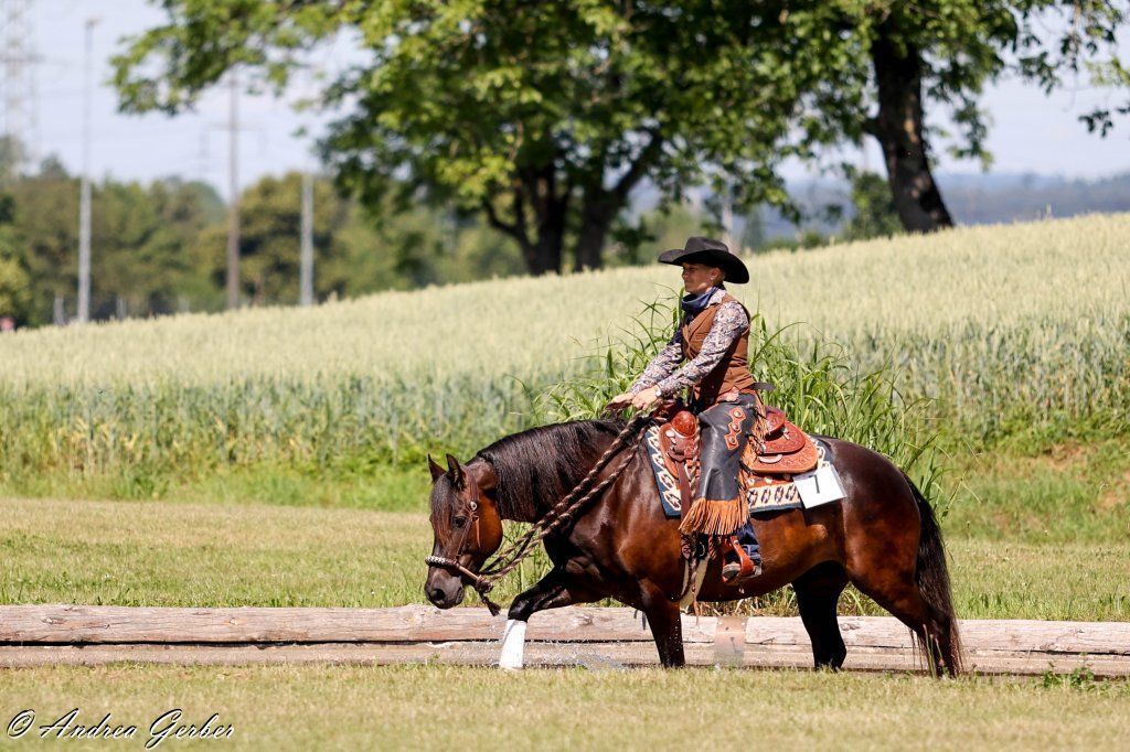 Swiss Ranch Horse Association - SRHA