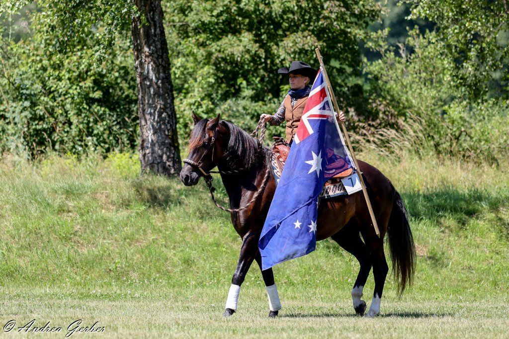Swiss Ranch Horse Association - SRHA