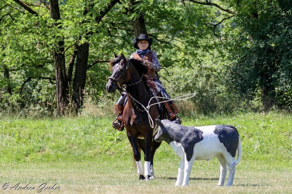 Swiss Ranch Horse Association - SRHA
