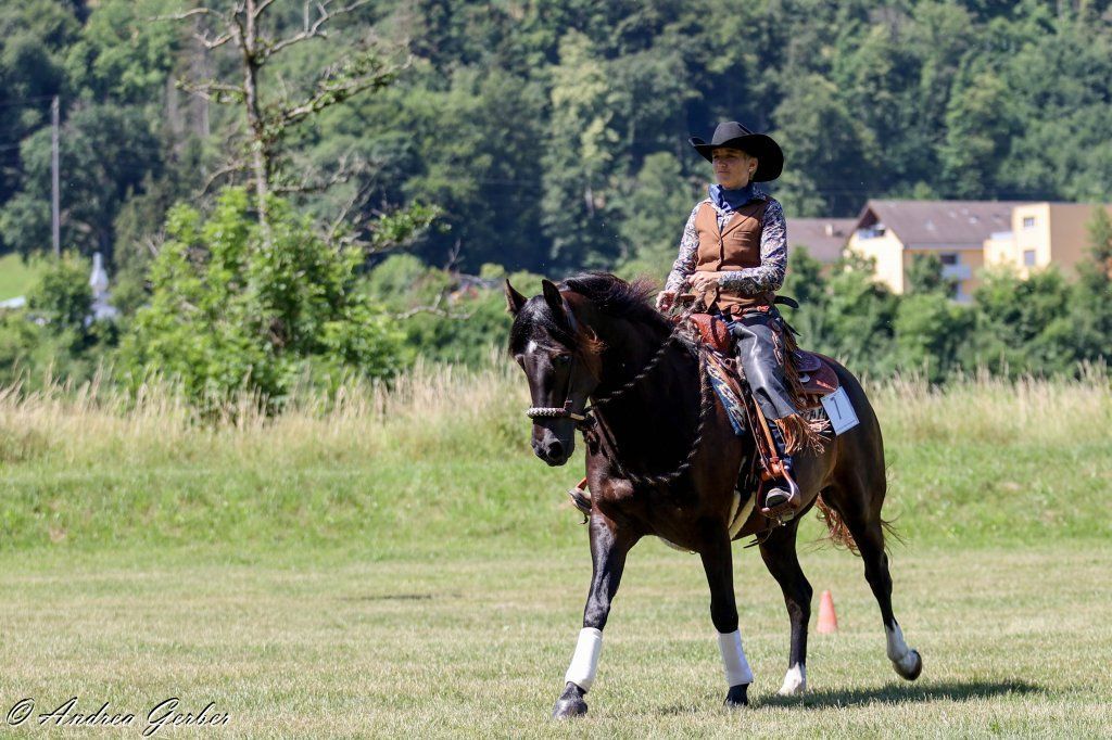 Swiss Ranch Horse Association - SRHA