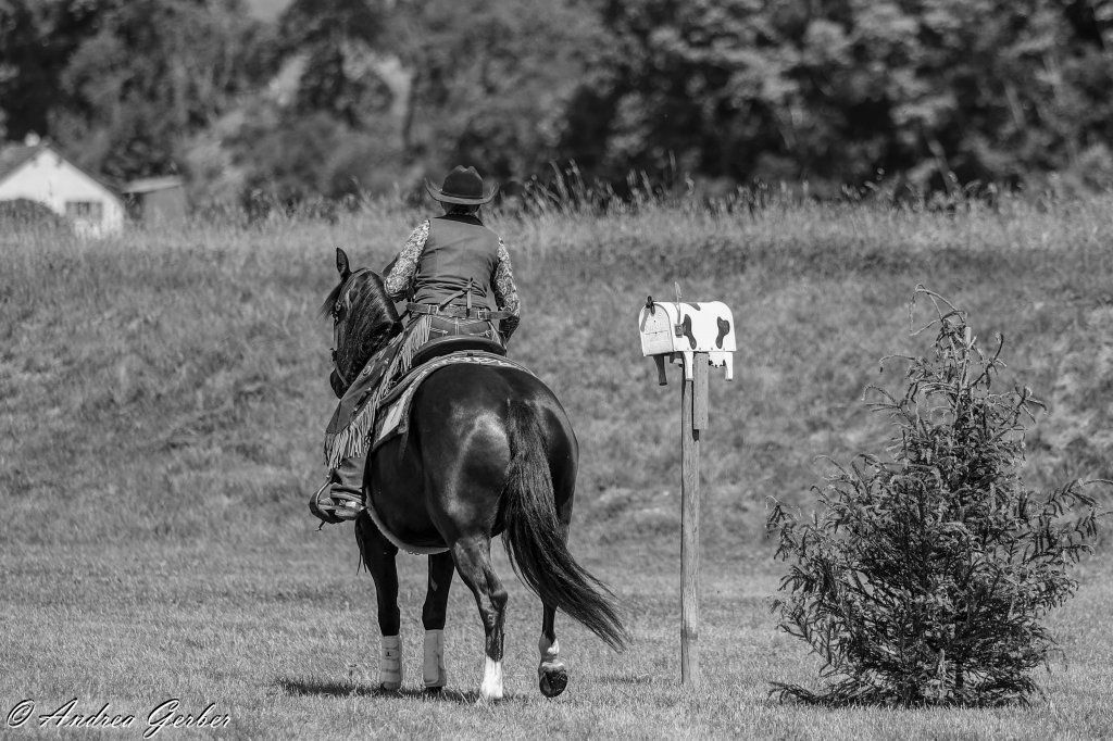 Swiss Ranch Horse Association - SRHA