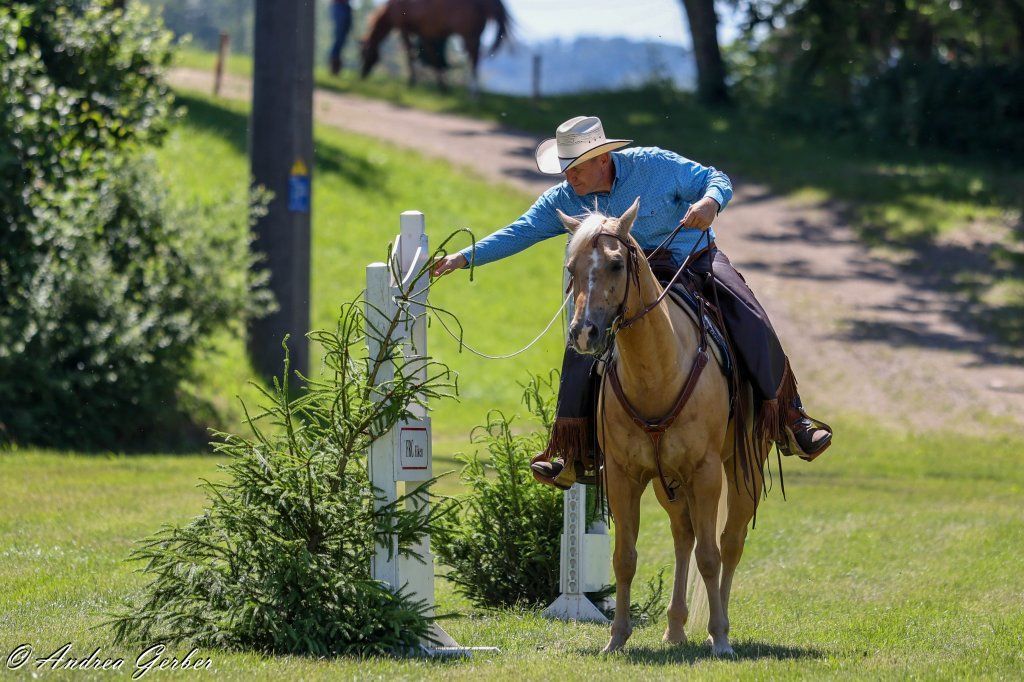 Swiss Ranch Horse Association - SRHA