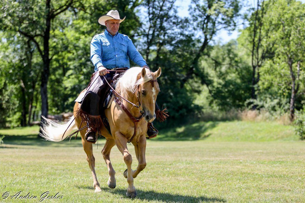 Swiss Ranch Horse Association - SRHA