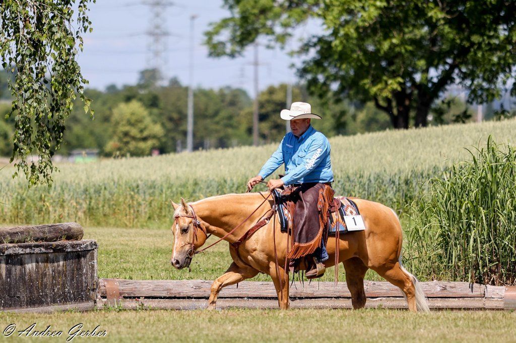 Swiss Ranch Horse Association - SRHA