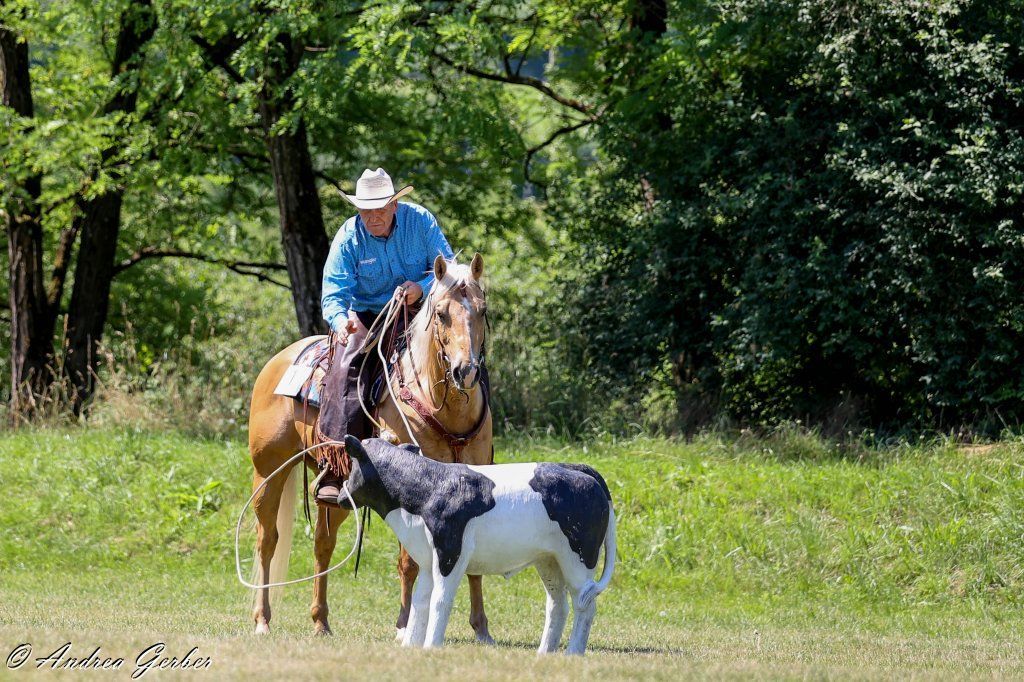 Swiss Ranch Horse Association - SRHA
