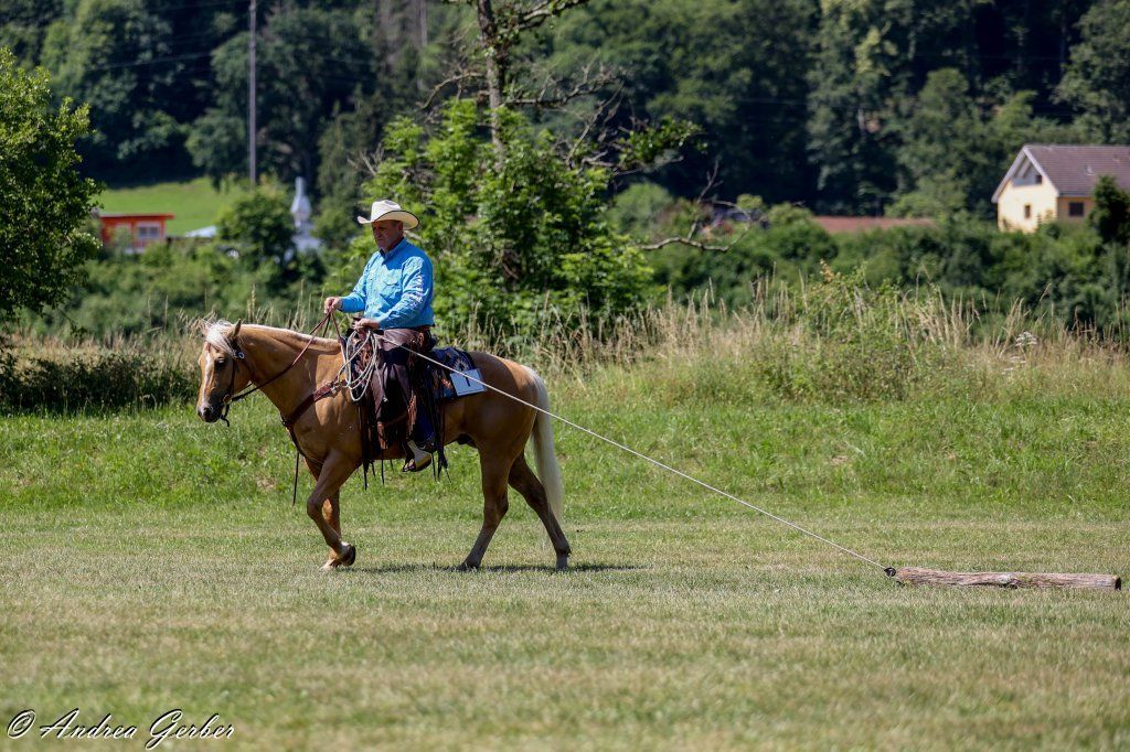 Swiss Ranch Horse Association - SRHA