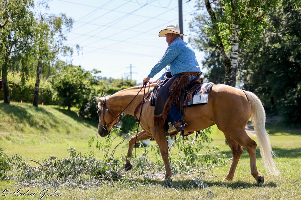 Swiss Ranch Horse Association - SRHA