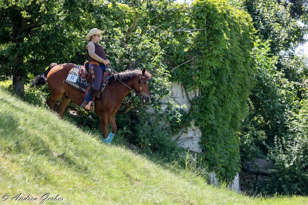 Swiss Ranch Horse Association - SRHA
