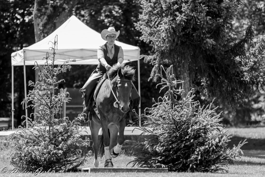 Swiss Ranch Horse Association - SRHA