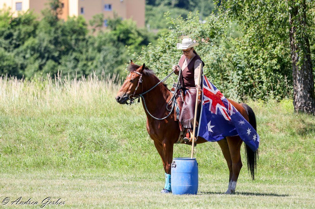 Swiss Ranch Horse Association - SRHA