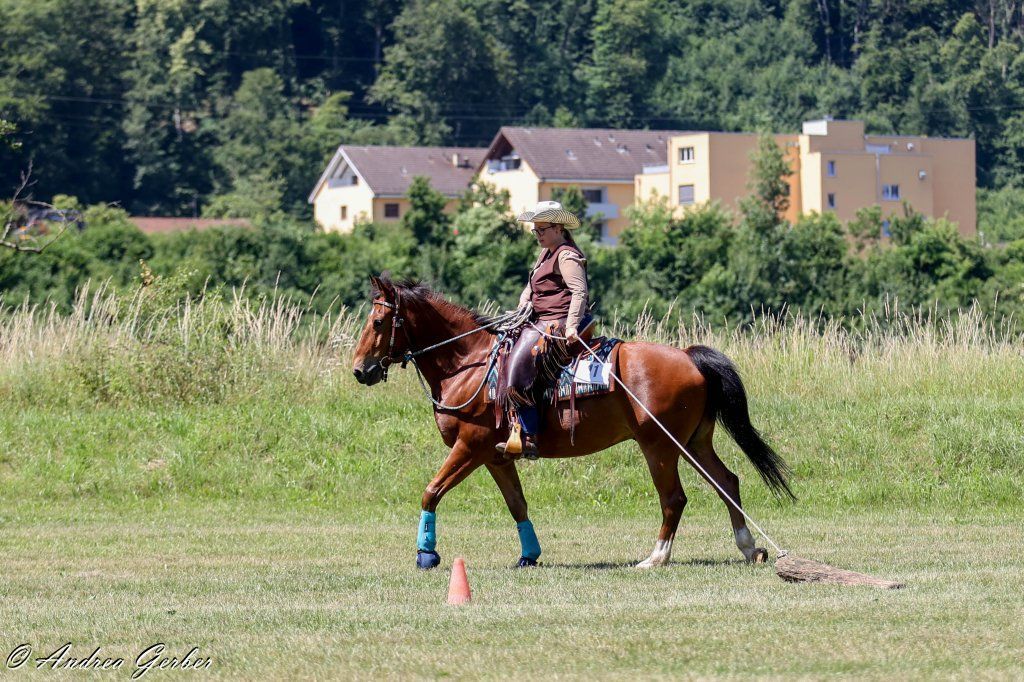 Swiss Ranch Horse Association - SRHA