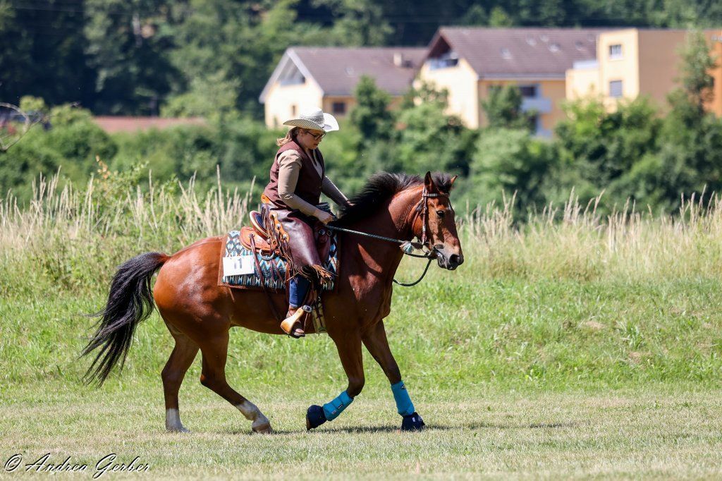 Swiss Ranch Horse Association - SRHA