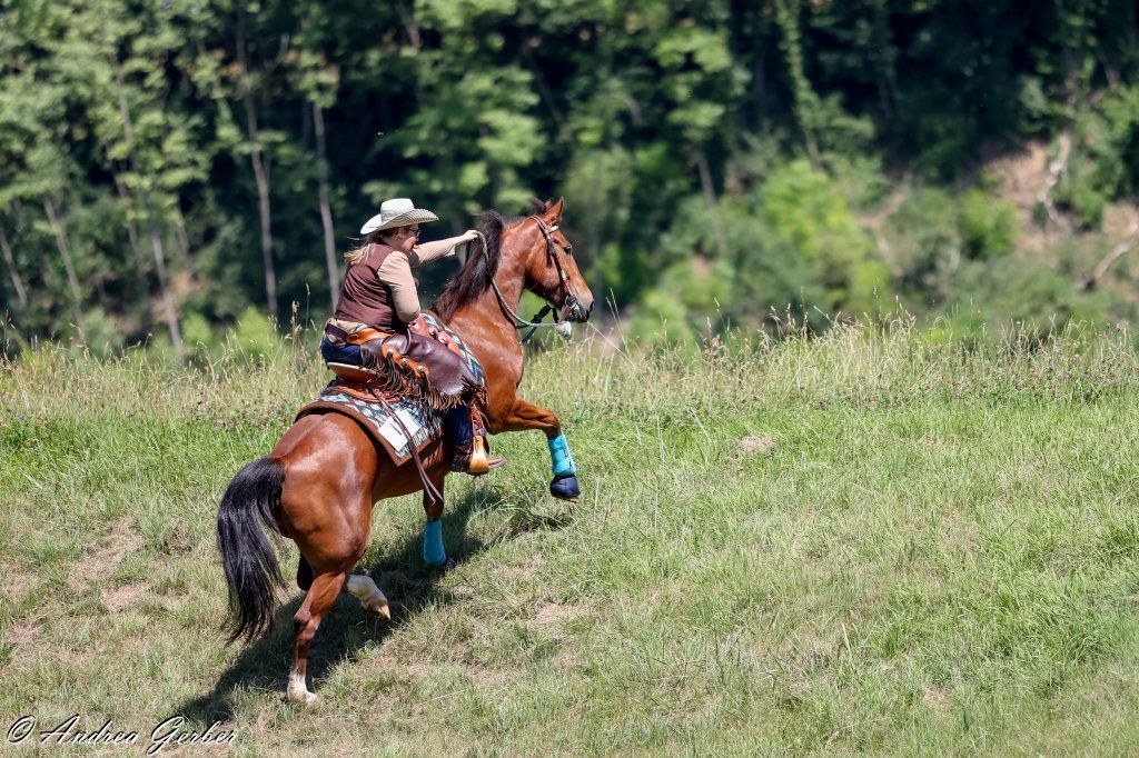 Swiss Ranch Horse Association - SRHA