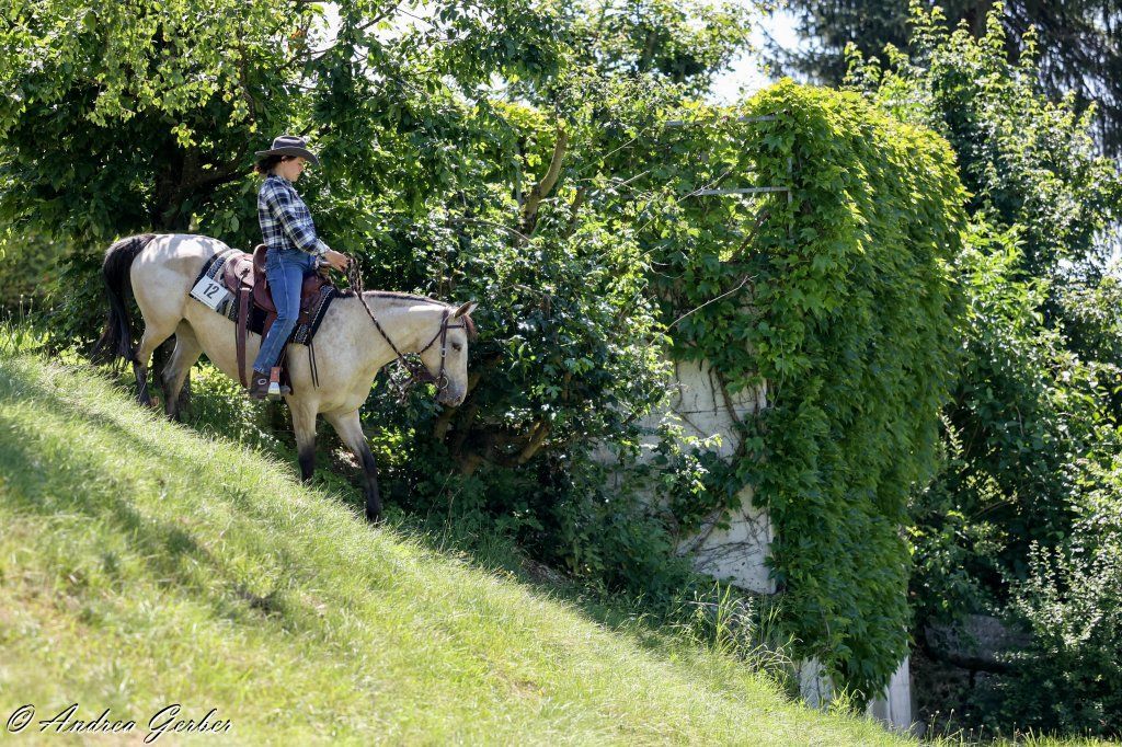 Swiss Ranch Horse Association - SRHA