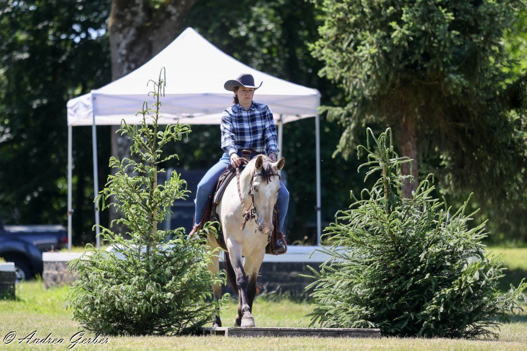 Swiss Ranch Horse Association - SRHA
