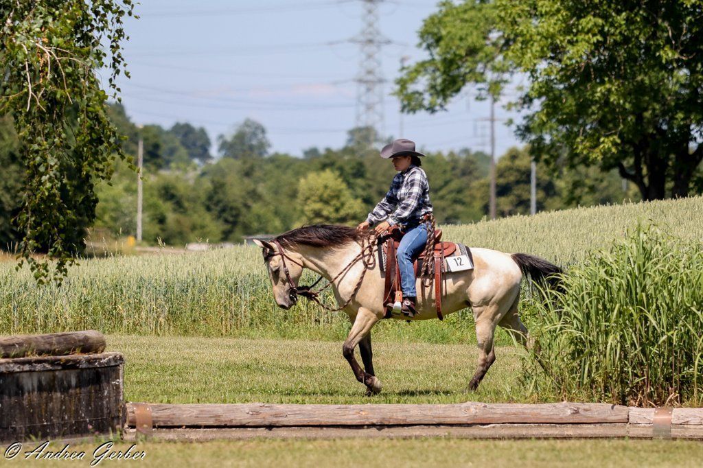 Swiss Ranch Horse Association - SRHA