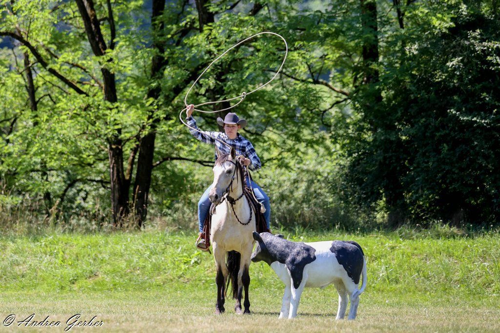 Swiss Ranch Horse Association - SRHA