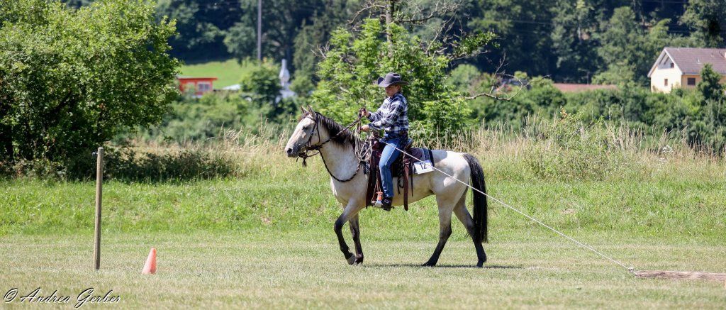 Swiss Ranch Horse Association - SRHA