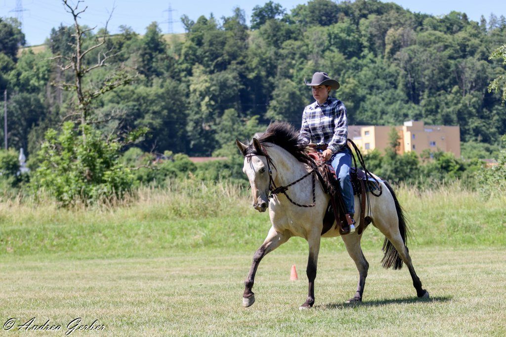 Swiss Ranch Horse Association - SRHA