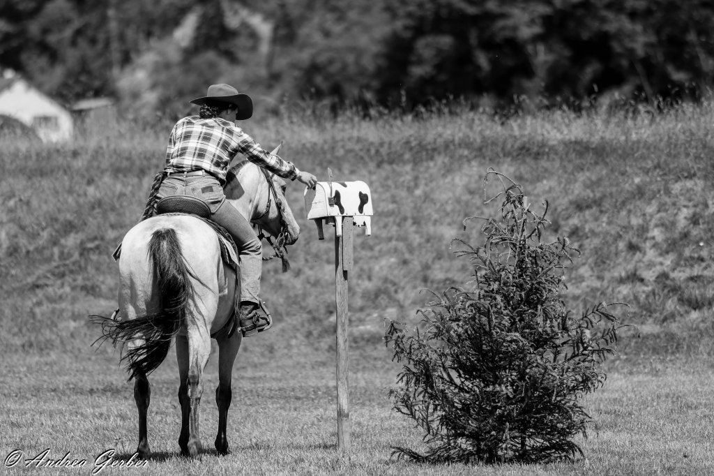 Swiss Ranch Horse Association - SRHA