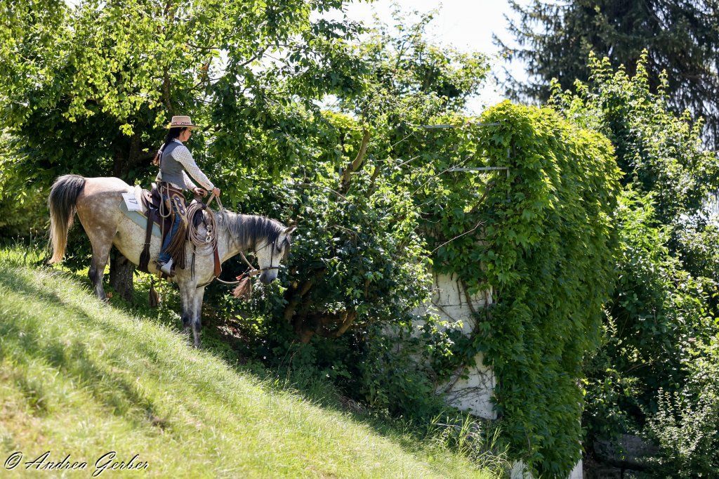 Swiss Ranch Horse Association - SRHA
