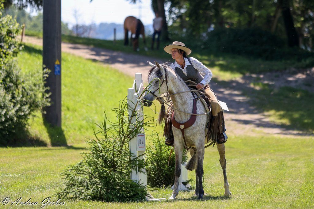 Swiss Ranch Horse Association - SRHA