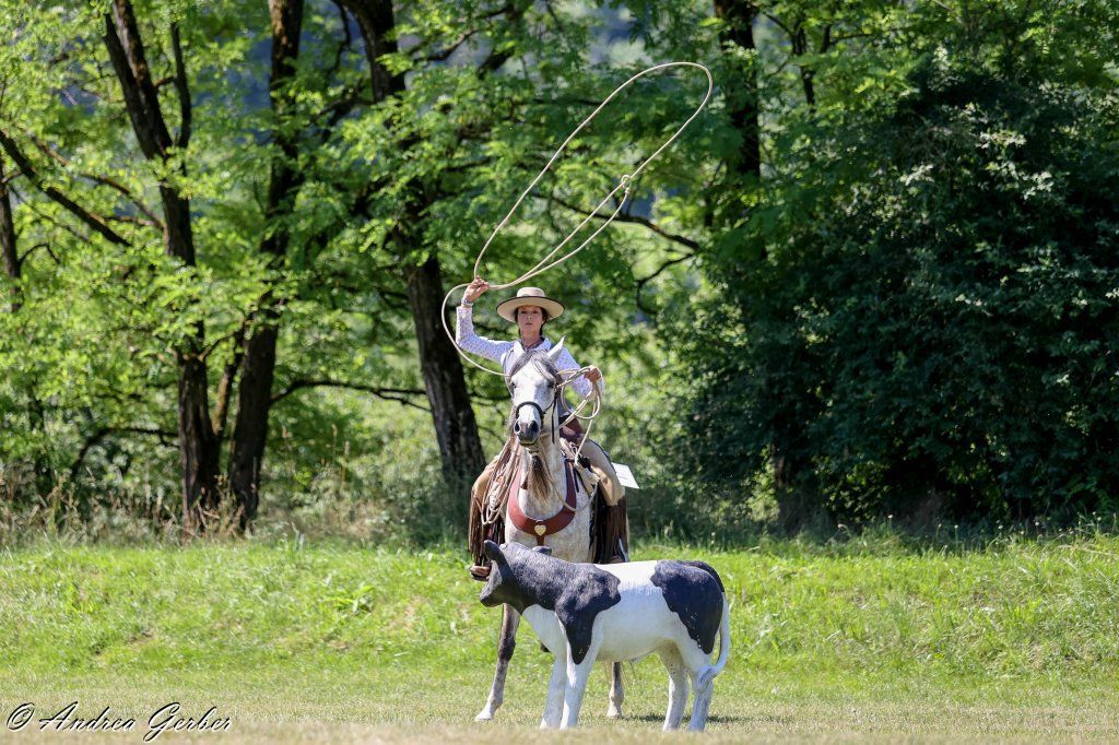 Swiss Ranch Horse Association - SRHA