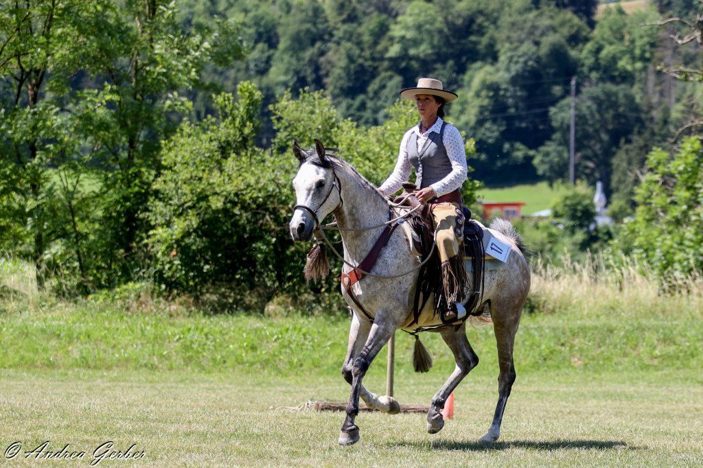 Swiss Ranch Horse Association - SRHA