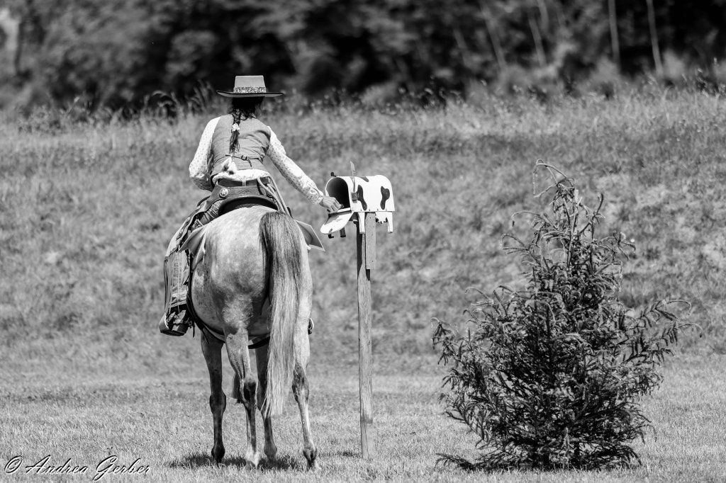 Swiss Ranch Horse Association - SRHA