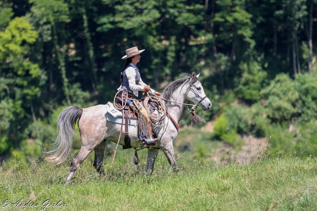 Swiss Ranch Horse Association - SRHA
