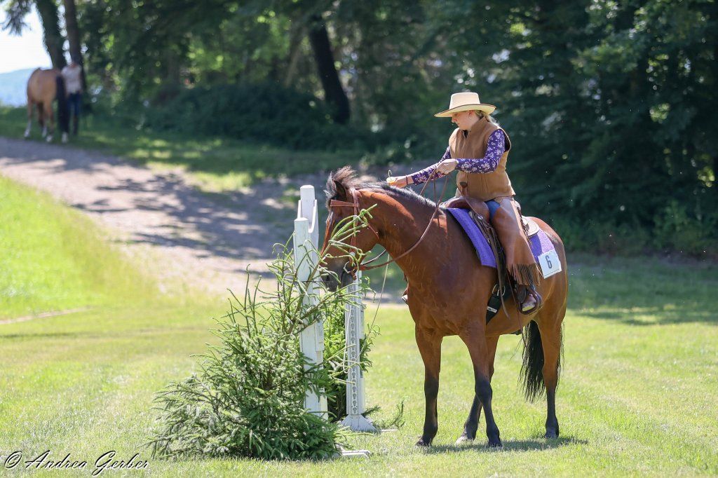 Swiss Ranch Horse Association - SRHA