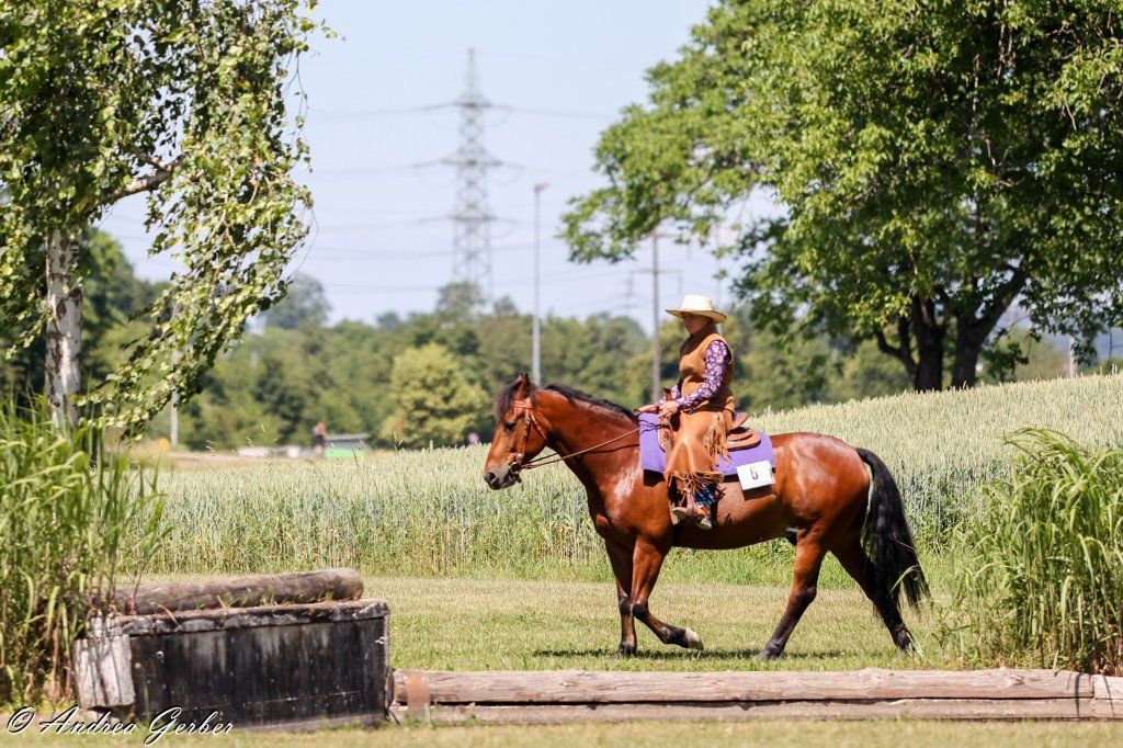 Swiss Ranch Horse Association - SRHA
