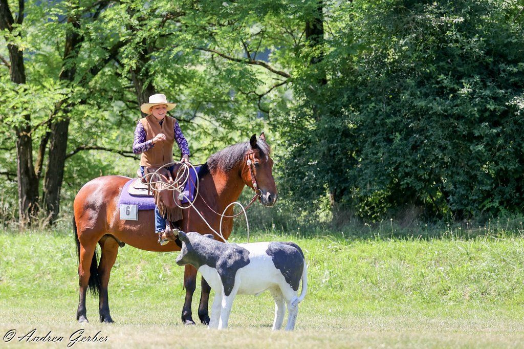 Swiss Ranch Horse Association - SRHA
