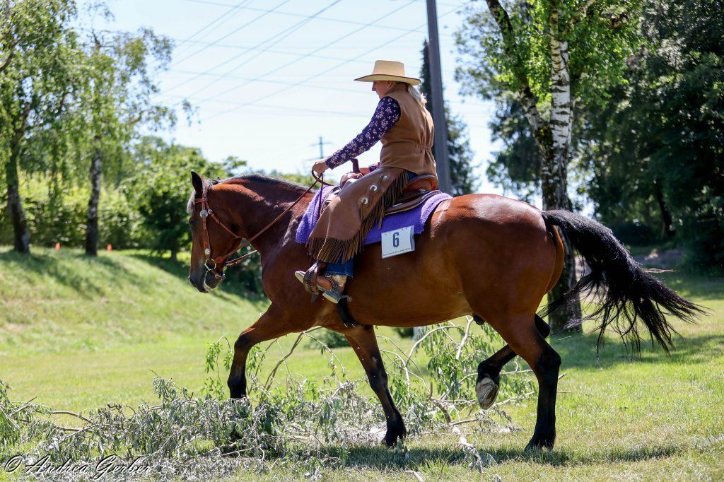 Swiss Ranch Horse Association - SRHA