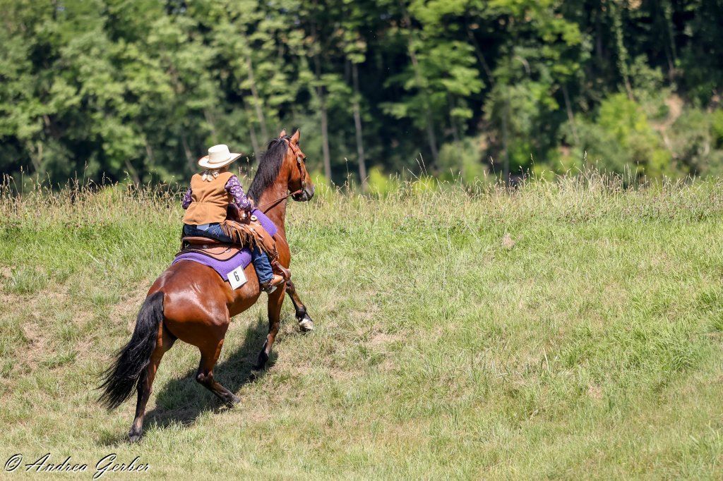 Swiss Ranch Horse Association - SRHA