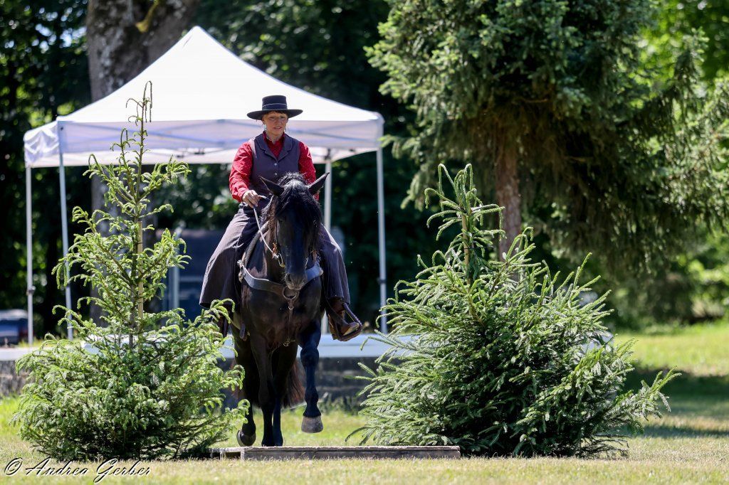 Swiss Ranch Horse Association - SRHA