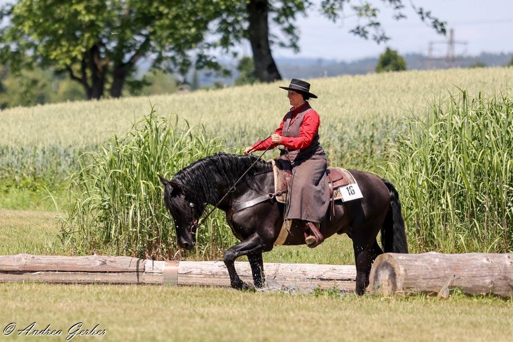 Swiss Ranch Horse Association - SRHA