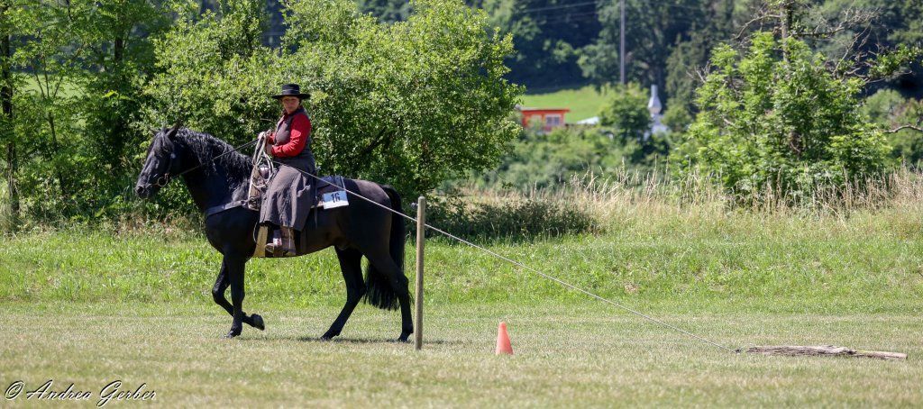 Swiss Ranch Horse Association - SRHA