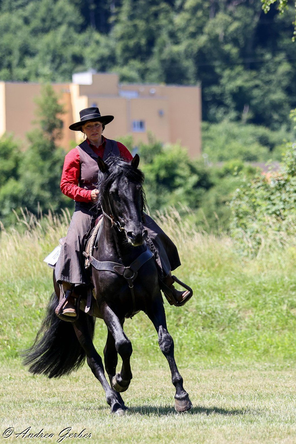 Swiss Ranch Horse Association - SRHA