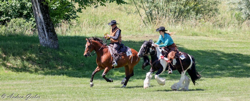 Swiss Ranch Horse Association - SRHA