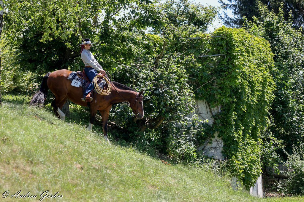 Swiss Ranch Horse Association - SRHA