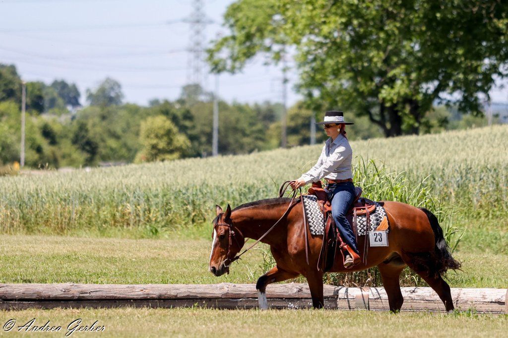 Swiss Ranch Horse Association - SRHA